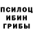 Псилоцибиновые грибы Magic Shrooms Smaran Veerabadran