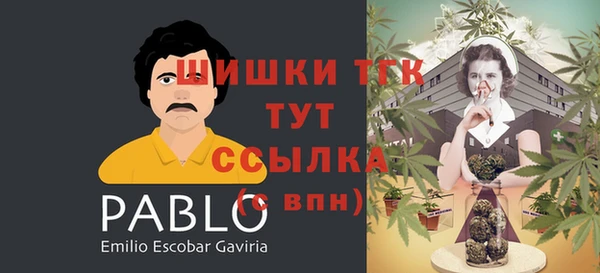 дживик Нефтегорск