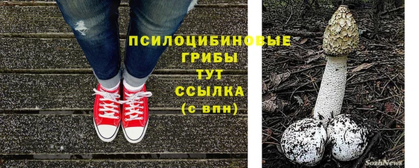 соль курить ск Анива