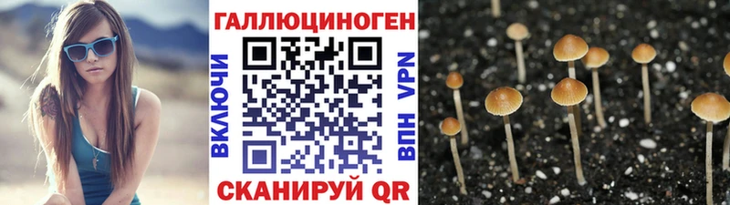 Галлюциногенные грибы Cubensis  Алексеевка 