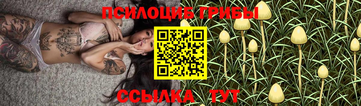 Галлюциногенные грибы мицелий  Алексеевка 