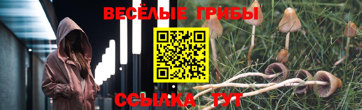 Алексеевка  Псилоцибиновые грибы ЛСД  Вход с VPN 