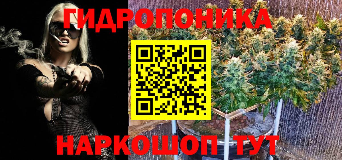Конопля Ganja Алексеевка